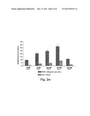 CAR RECEPTOR AS A MEDIATOR OF MIGRATORY CELL CHEMOTAXIS AND/OR     CHEMOKINESIS diagram and image