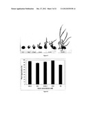 Methods of Plant Regeneration and Apparatus Therefor diagram and image