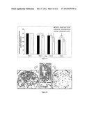 Methods of Plant Regeneration and Apparatus Therefor diagram and image