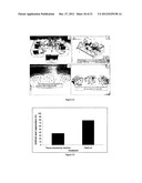 Methods of Plant Regeneration and Apparatus Therefor diagram and image