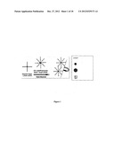 METHOD AND FOR THE DETECTION OF BIOLOGICAL MOLECULES USING A TWO PARTICLE     COMPLEX diagram and image