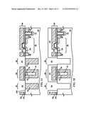 THROUGH WAFER VIAS AND METHOD OF MAKING SAME diagram and image