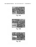 DOPED ELONGATED SEMICONDUCTORS, GROWING SUCH SEMICONDUCTORS, DEVICES     INCLUDING SUCH SEMICONDUCTORS AND FABRICATING SUCH DEVICES diagram and image