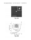 DOPED ELONGATED SEMICONDUCTORS, GROWING SUCH SEMICONDUCTORS, DEVICES     INCLUDING SUCH SEMICONDUCTORS AND FABRICATING SUCH DEVICES diagram and image