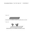 BELT-SHAPED METAL NANOSTRUCTURE AND METHOD FOR PREPARING SAME diagram and image