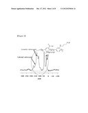 BELT-SHAPED METAL NANOSTRUCTURE AND METHOD FOR PREPARING SAME diagram and image