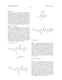 COMPOUNDS FOR PROTEASOME ENZYME INHIBITION diagram and image