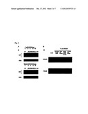 Biological Agents Active in Central Nervous System diagram and image