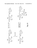 GLYCOMIMETIC INHIBITORS OF THE PA-IL LECTIN, PA-IIL LECTIN OR BOTH THE     LECTINS FROM PSEUDOMONAS diagram and image