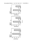 TREATING CANCER WITH DESTHIAZOLYL RITONAVIR diagram and image