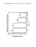 TREATING CANCER WITH DESTHIAZOLYL RITONAVIR diagram and image