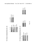 TREATING CANCER WITH DESTHIAZOLYL RITONAVIR diagram and image