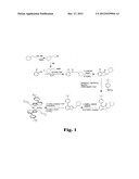 METALLOCENE COMPOUNDS, CATALYSTS COMPRISING THEM, PROCESS FOR PRODUCING AN     OLEFIN POLYMER BY USE OF THE CATALYSTS, AND OLEFIN HOMO- AND COPOLYMERS diagram and image