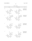 TRIAZOLE COMPOUNDS THAT MODULATE HSP90 ACTIVITY diagram and image