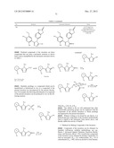 TRIAZOLE COMPOUNDS THAT MODULATE HSP90 ACTIVITY diagram and image