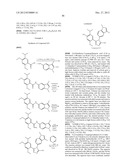 TRIAZOLE COMPOUNDS THAT MODULATE HSP90 ACTIVITY diagram and image