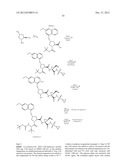 Hepatitis C Virus Inhibitors diagram and image