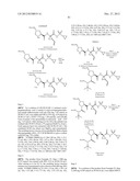 Hepatitis C Virus Inhibitors diagram and image