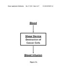 APPLYING SHEAR STRESS FOR DISEASE TREATMENT diagram and image