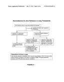 REPAIRED ORGAN AND METHOD FOR MAKING THE SAME diagram and image