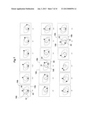 DESMODRONIC SHAFT AND YOKE ASSEMBLY FOR TRANSLATING LINEAR TO ROTARY     MOTION diagram and image