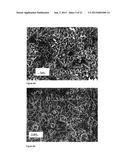 POLYMER FILM BIOELECTRODES AND METHODS OF MAKING AND USING THE SAME diagram and image