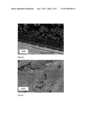 POLYMER FILM BIOELECTRODES AND METHODS OF MAKING AND USING THE SAME diagram and image