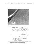 POLYMER FILM BIOELECTRODES AND METHODS OF MAKING AND USING THE SAME diagram and image