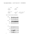 POLYMER FILM BIOELECTRODES AND METHODS OF MAKING AND USING THE SAME diagram and image