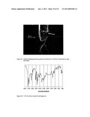 POLYMER FILM BIOELECTRODES AND METHODS OF MAKING AND USING THE SAME diagram and image