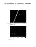 POLYMER FILM BIOELECTRODES AND METHODS OF MAKING AND USING THE SAME diagram and image