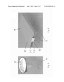 Beverage Packing System diagram and image