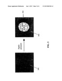COMPRESSIBLE PHOTONIC CRYSTAL-BASED AUTHENTICATION DEVICE diagram and image