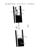 COMPRESSIBLE PHOTONIC CRYSTAL-BASED AUTHENTICATION DEVICE diagram and image