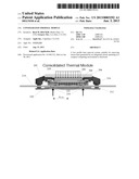 CONSOLIDATED THERMAL MODULE diagram and image