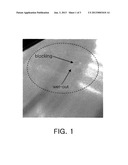 LIGHT-CONDENSING FILM HAVING SUPERIOR ANTI-ADHESION PERFORMANCE AND     SUPERIOR MOIRE PREVENTION EFFECTS, BACKLIGHT UNIT COMPRISING SAME, AND     DISPLAY DEVICE COMPRISING THE BACKLIGHT UNIT diagram and image
