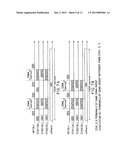 RADIO SYSTEM, RADIO BASE STATION AND RADIO TERMINAL diagram and image