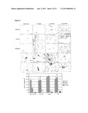 MULTIPOTENT ADULT STEM CELL POPULATION diagram and image