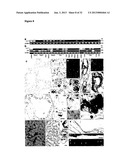 MULTIPOTENT ADULT STEM CELL POPULATION diagram and image