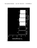 MULTIPOTENT ADULT STEM CELL POPULATION diagram and image