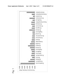 AGENT FOR INCREASING BIFIDOBACTERIA AND REDUCING THE DECREASE OF     BIFIDOBACTERIA IN LARGE INTESTINE diagram and image