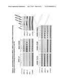 BRAF Mutations Conferring Resistance to BRAF Inhibitors diagram and image