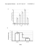 COMPOSITION COMPRISING INHIBITORS OF IRS-1 AND OF VEGF diagram and image