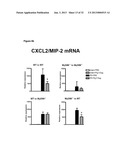 METHODS FOR TREATING REPERFUSION INJURIES diagram and image