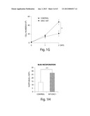 DISC-1 PATHWAY ACTIVATORS IN THE CONTROL OF NEUROGENESIS diagram and image