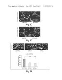 DISC-1 PATHWAY ACTIVATORS IN THE CONTROL OF NEUROGENESIS diagram and image