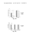 DISC-1 PATHWAY ACTIVATORS IN THE CONTROL OF NEUROGENESIS diagram and image