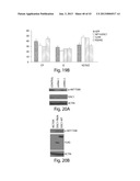 DISC-1 PATHWAY ACTIVATORS IN THE CONTROL OF NEUROGENESIS diagram and image