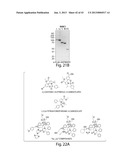 DISC-1 PATHWAY ACTIVATORS IN THE CONTROL OF NEUROGENESIS diagram and image