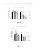 TARGETING CANCER STEM CELLS diagram and image